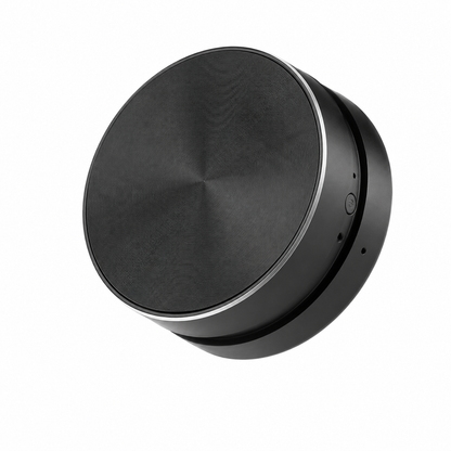 Hummingbird Magnetic Speaker